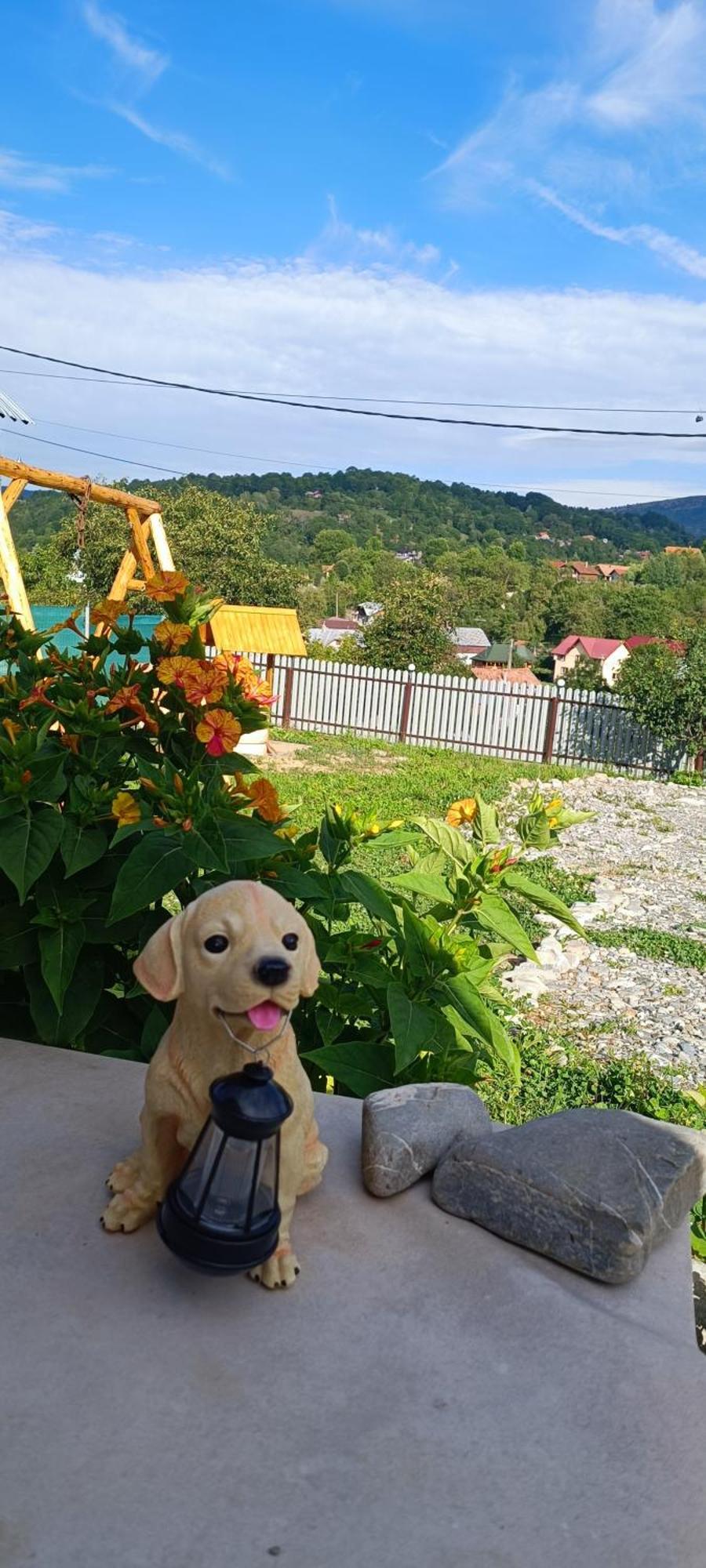 Casuta Din Livada Villa Secaria Exteriör bild