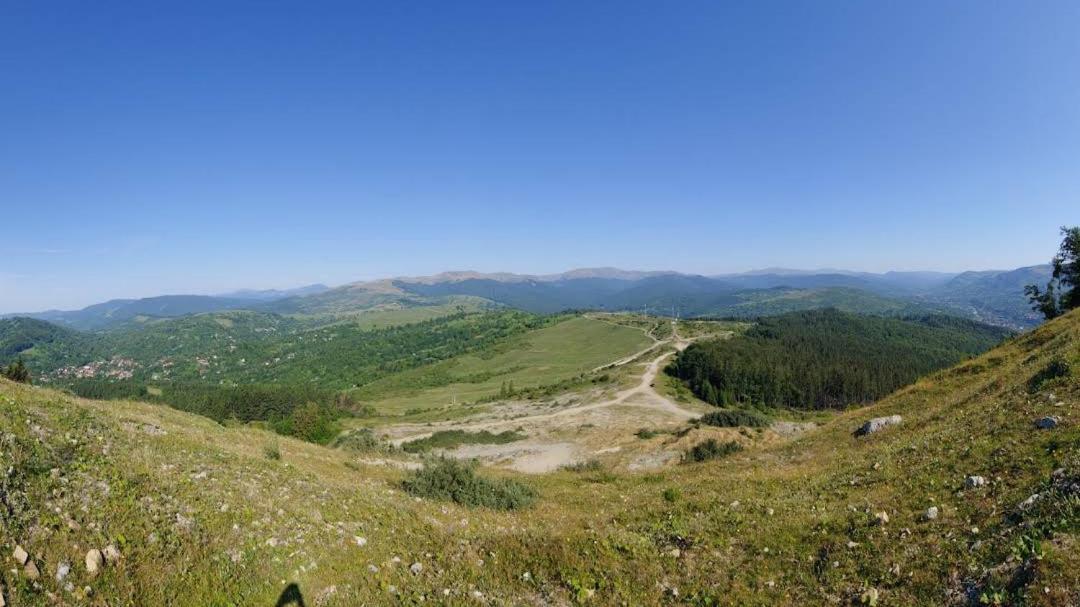 Casuta Din Livada Villa Secaria Exteriör bild