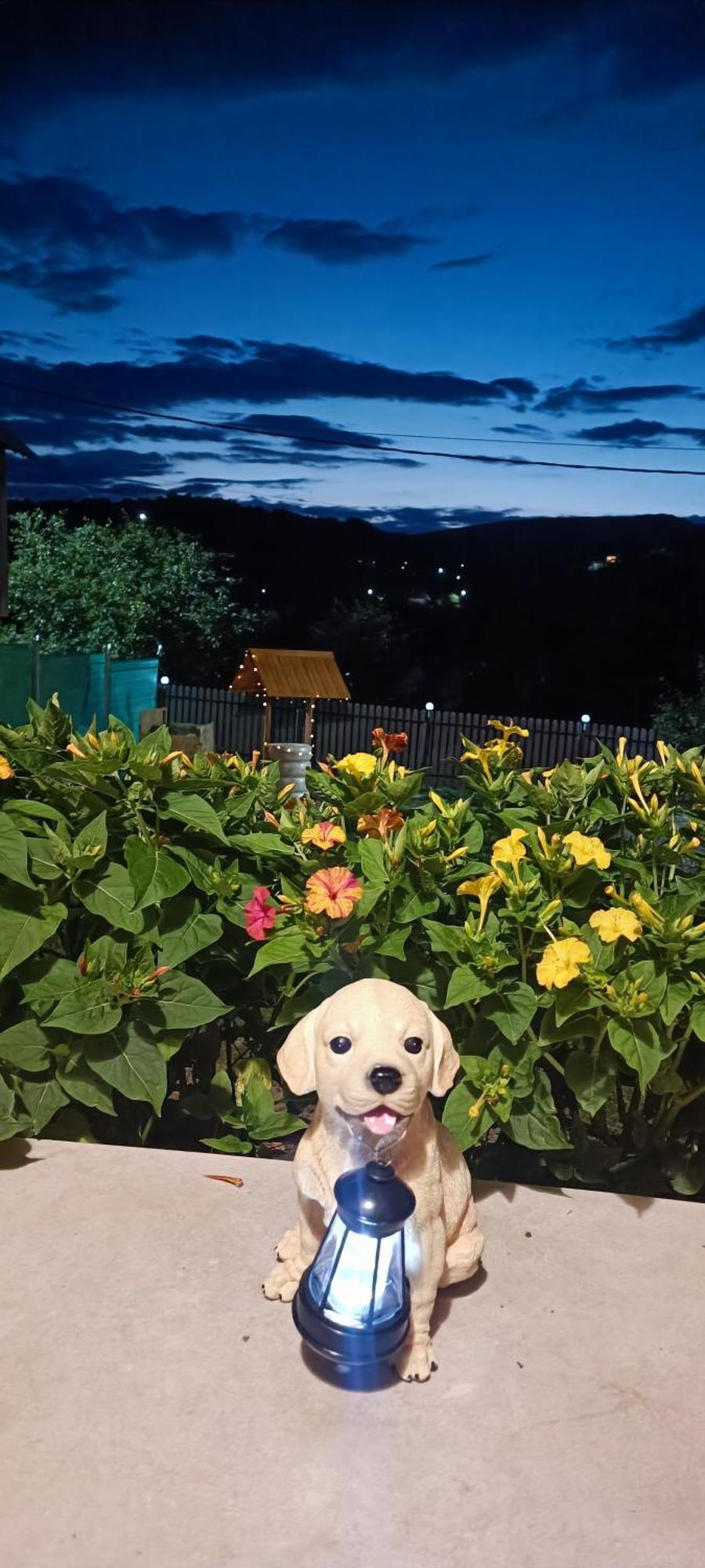 Casuta Din Livada Villa Secaria Exteriör bild